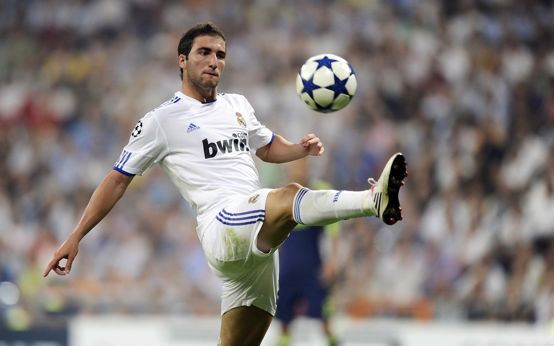 FaZe分析LOL全球赛事的流量潜力，lol全球赛区排名