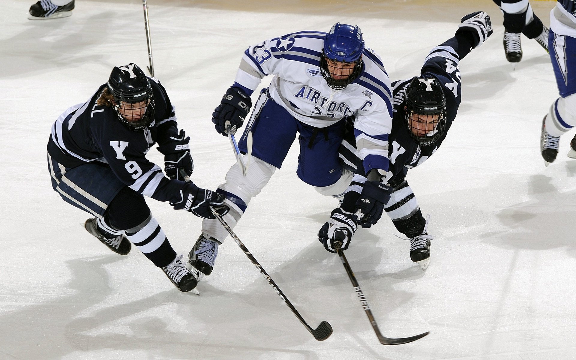 霍芬海姆客场胜出，扩大积分差距，霍芬海姆主教练是谁